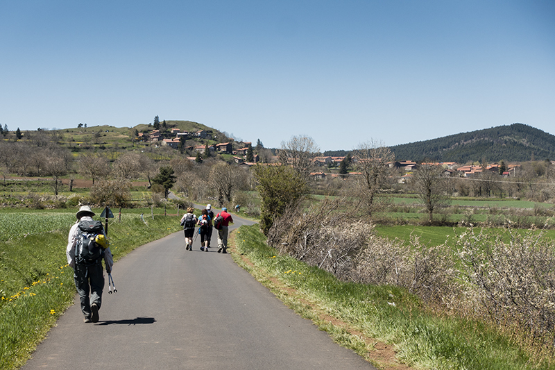 The camino to Santiago de Compostella