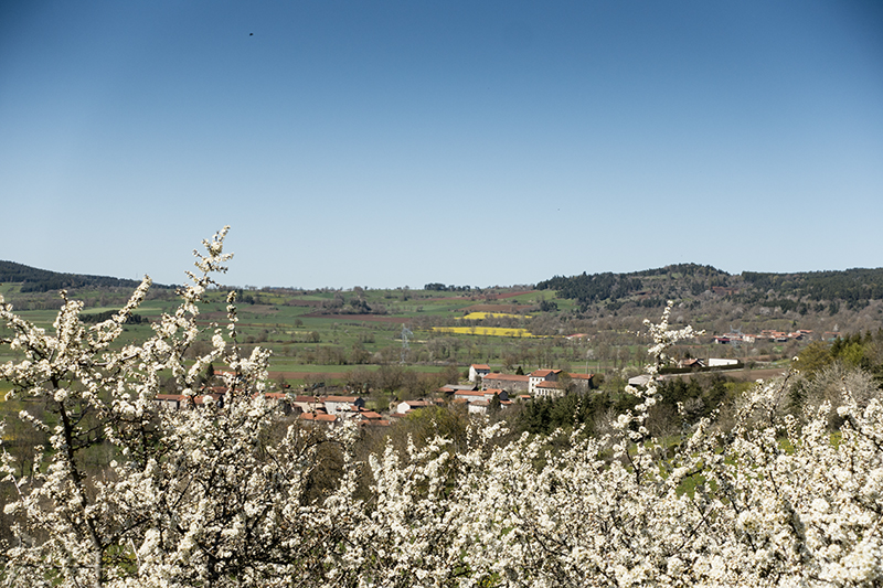 The camino to Santiago de Compostella