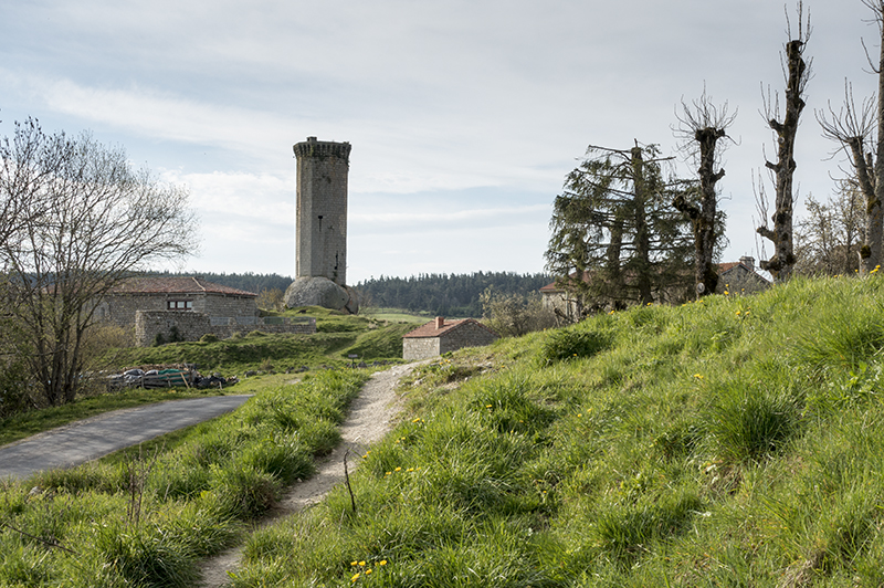 The camino to Santiago de Compostella