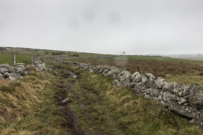 The camino to Santiago de Compostella