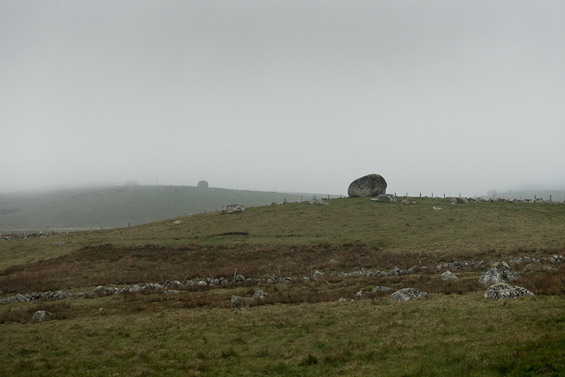 The camino to Santiago de Compostella