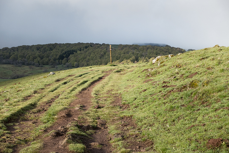 The camino to Santiago de Compostella