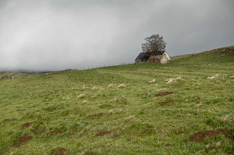 The camino to Santiago de Compostella