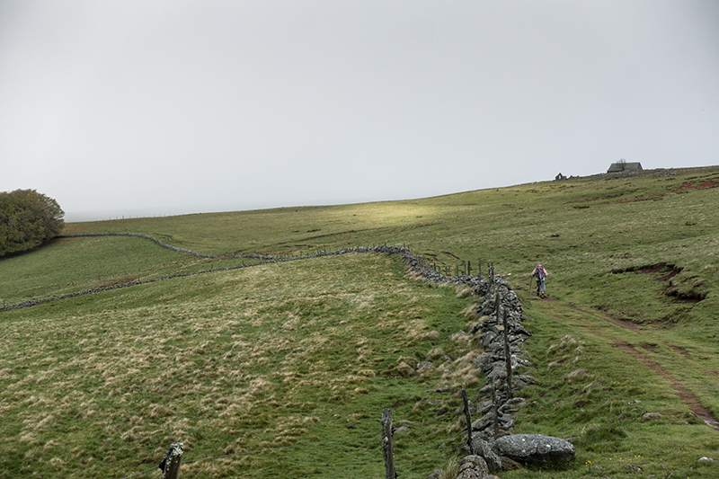 The camino to Santiago de Compostella