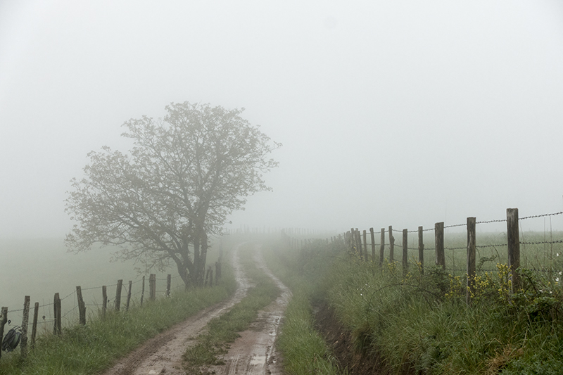 The camino to Santiago de Compostella