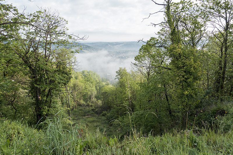 The camino to Santiago de Compostella