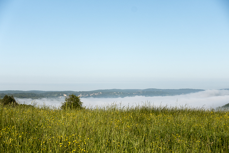 The camino to Santiago de Compostella