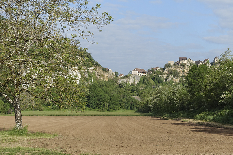 The camino to Santiago de Compostella