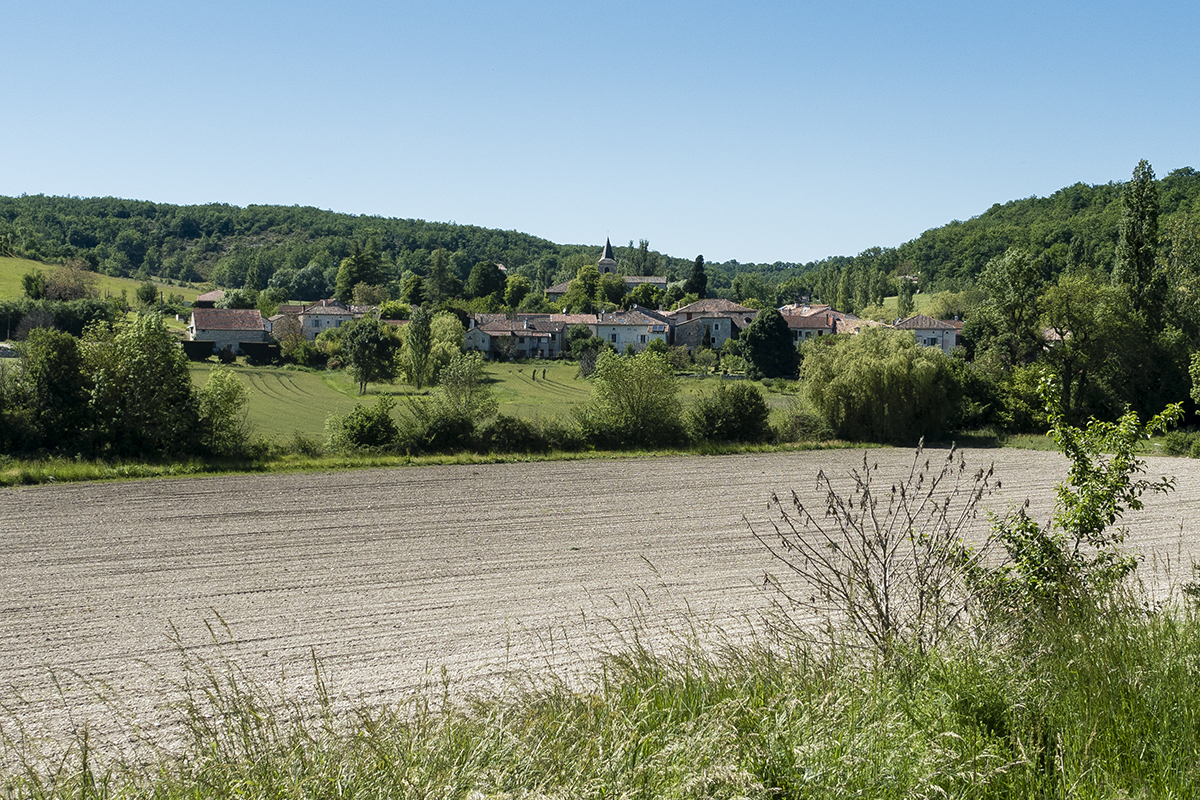 The camino to Santiago de Compostella