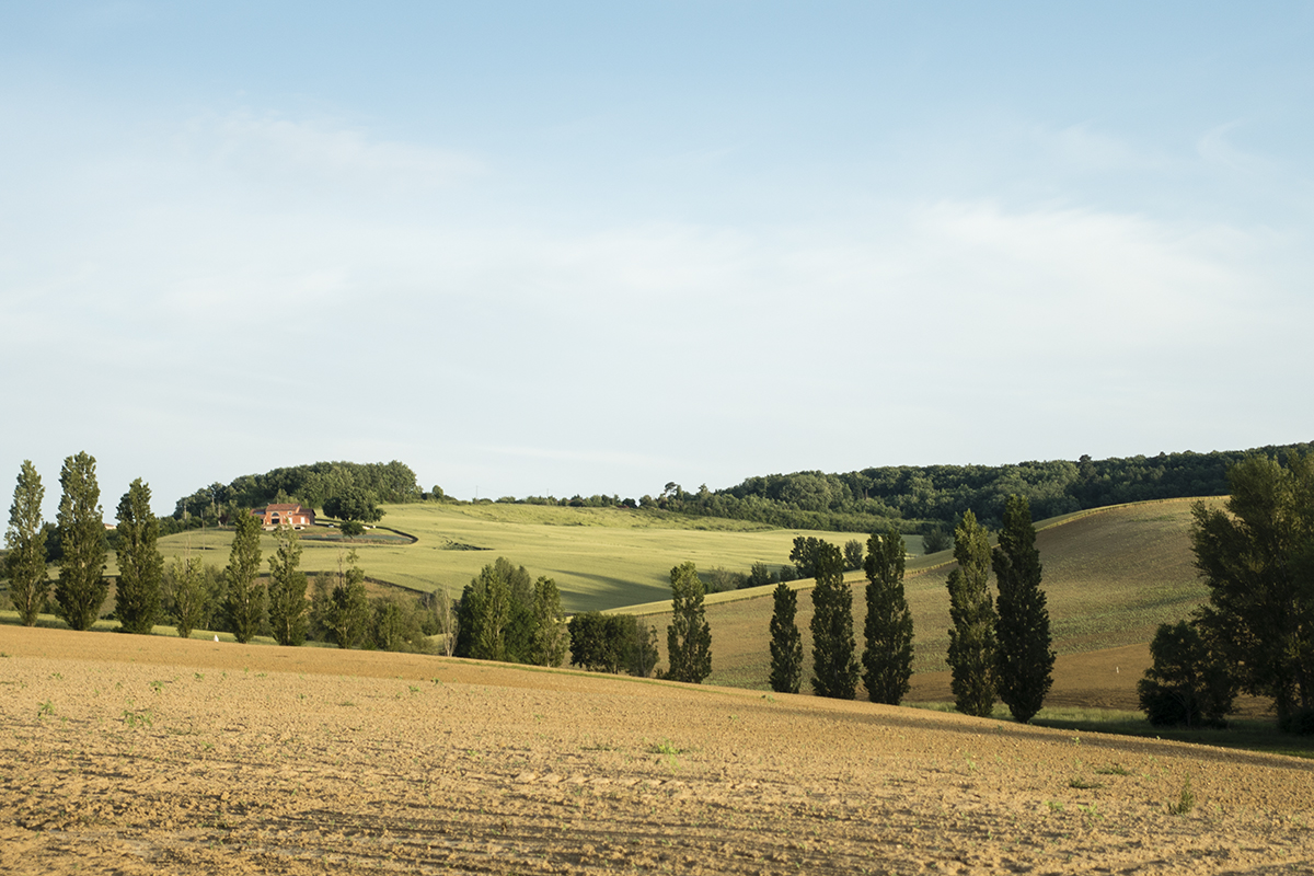 The camino to Santiago de Compostella