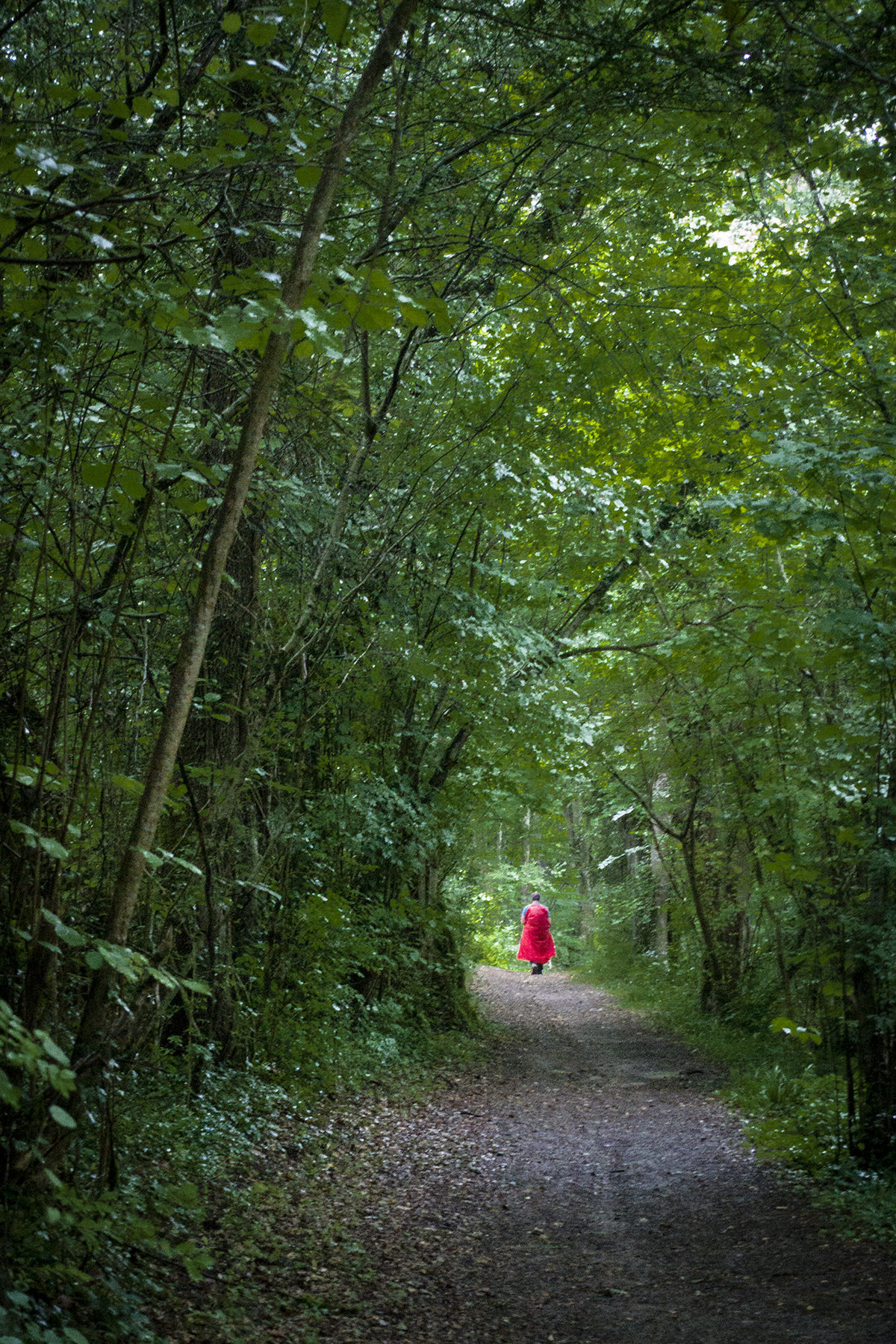 The camino to Santiago de Compostella