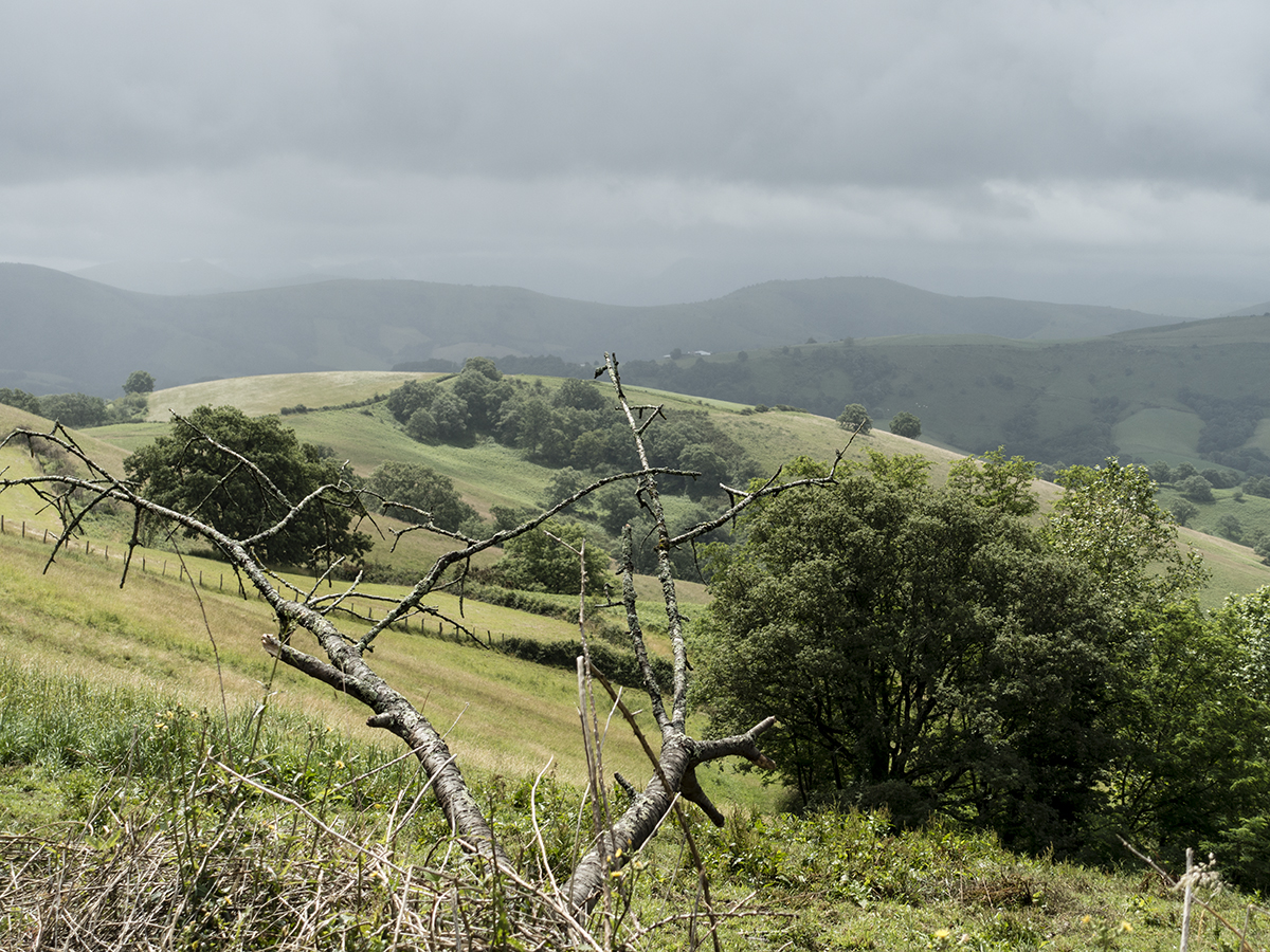 The camino to Santiago de Compostella