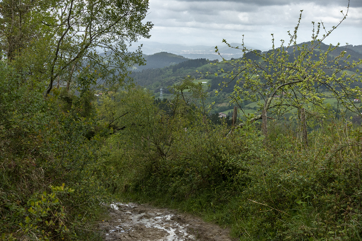 The camino to Santiago de Compostella