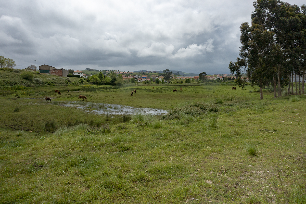 The camino to Santiago de Compostella