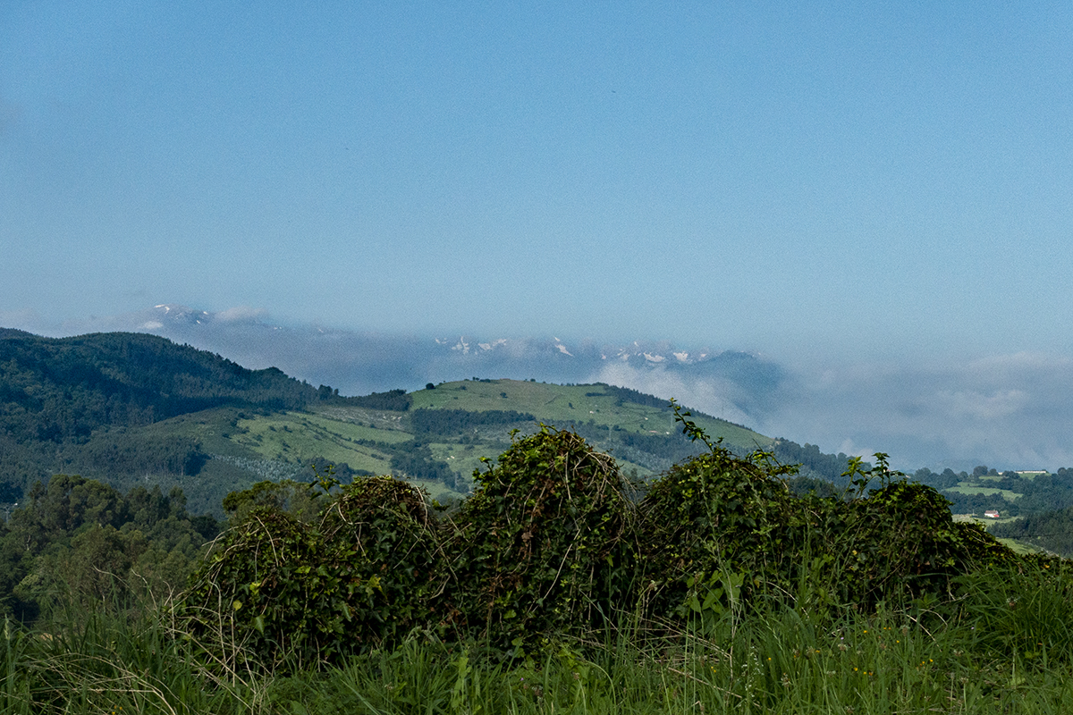 The camino to Santiago de Compostella