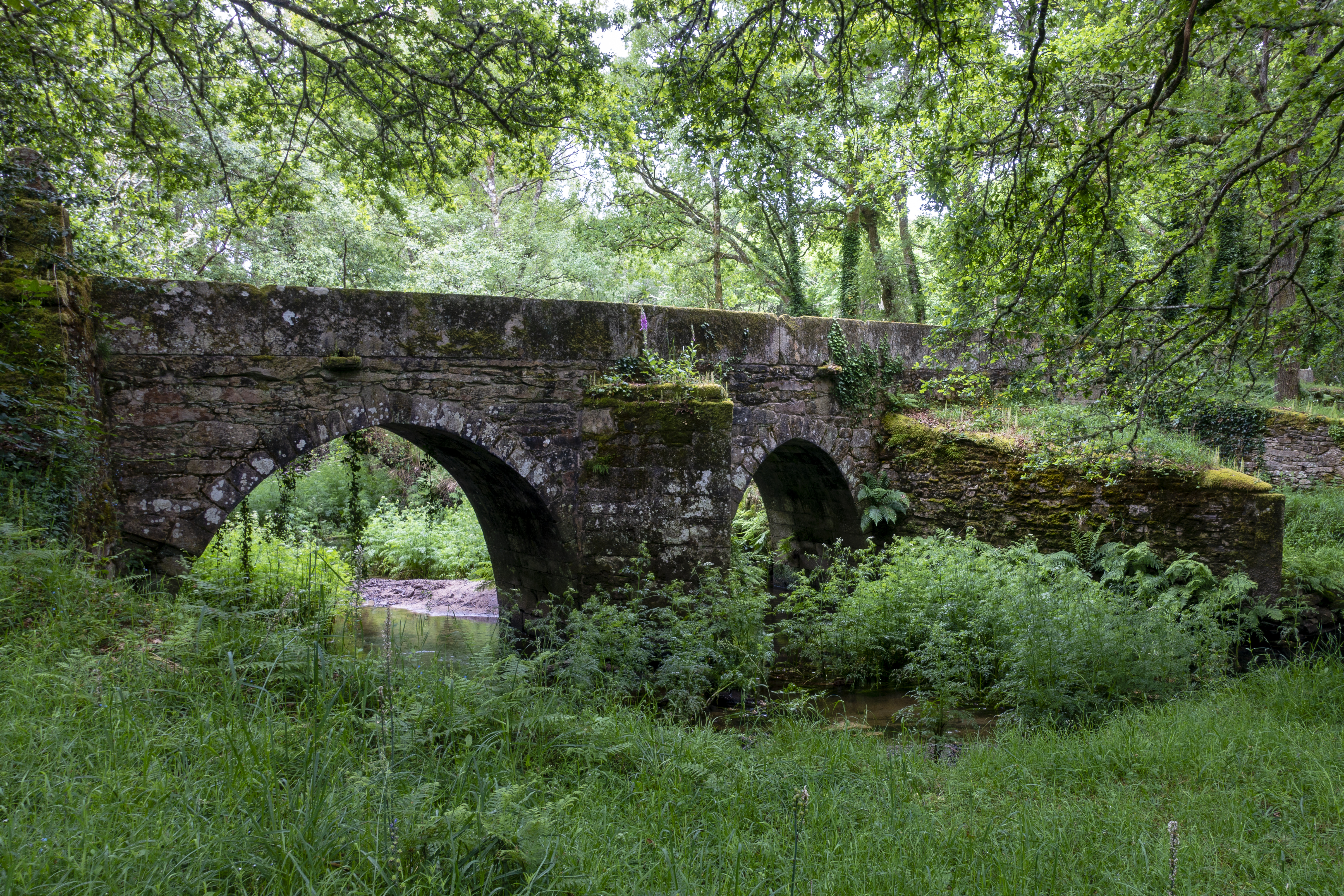 The camino to Santiago de Compostella