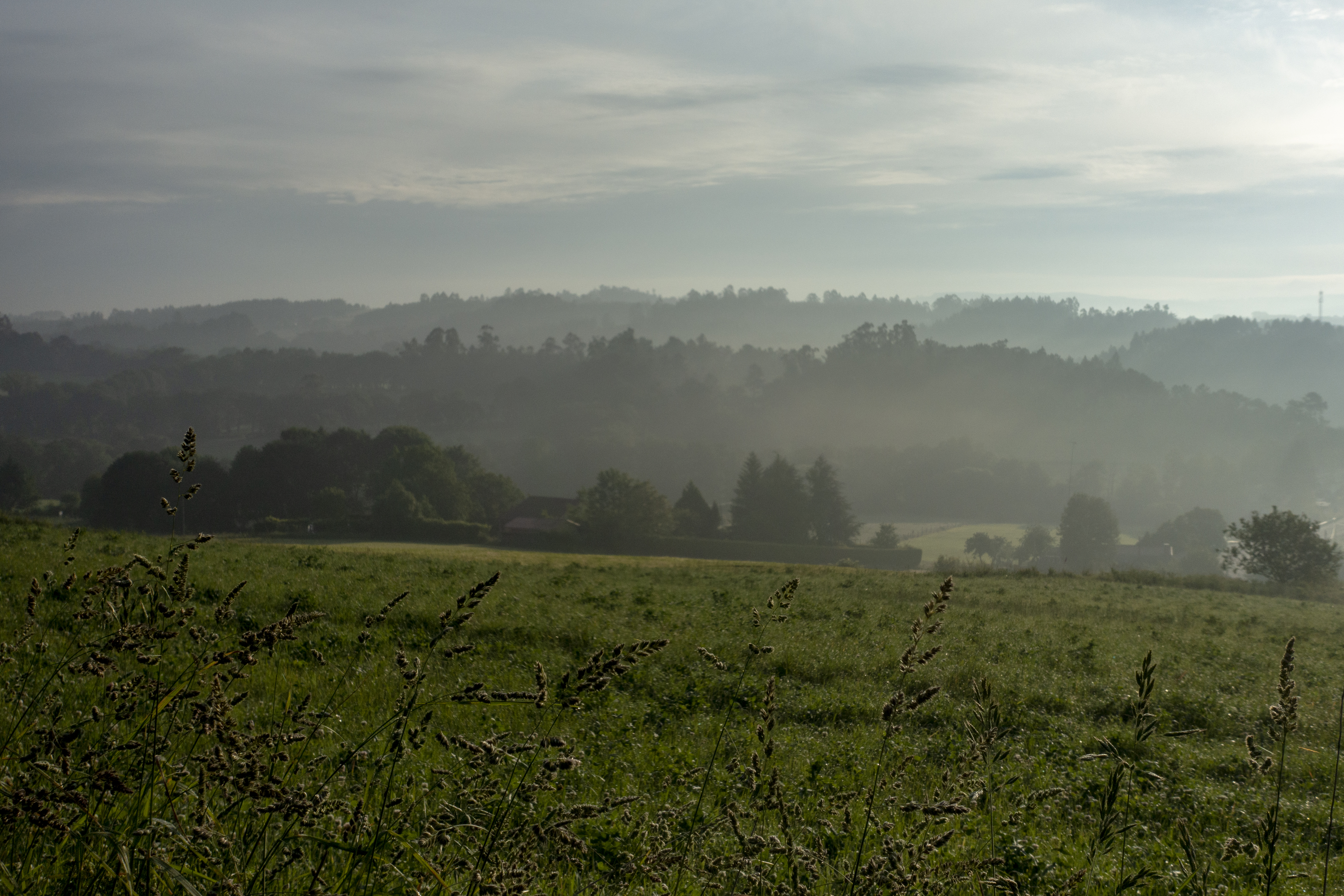 The camino to Santiago de Compostella