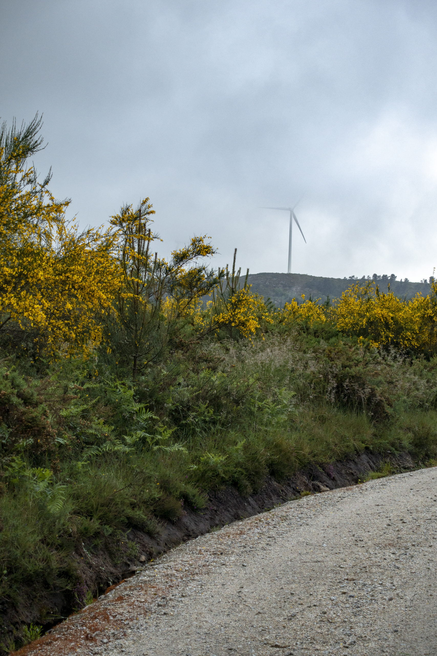 To Sobrado. Camino del Norte. Spain.