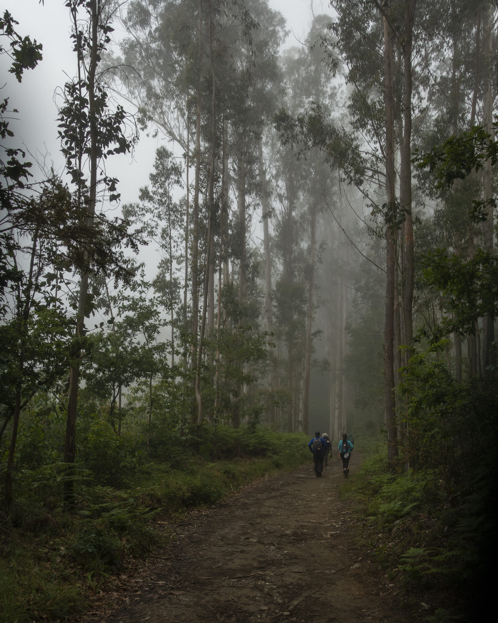 20190609 DSC7067 scaled 1