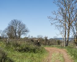 First day. Fine weather. To Saint Privat-d’Allier. Via Podiensis. France. First day. Fine weather. To Saint Privat-d’Allier. Via Podiensis. France.