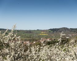 Spring is late. To Saint Privat-d’Allier. Via Podiensis. France. Spring is late. To Saint Privat-d’Allier. Via Podiensis. France.