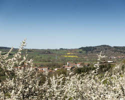 Spring is late. Spring is late.