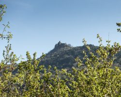 Rochegude from the other side. To Saugues. Via Podiensis. France. Rochegude from the other side. To Saugues. Via Podiensis. France.