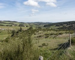 Landscape. To Aumont-Aubrac. Via Podiensis. France. Landscape. To Aumont-Aubrac. Via Podiensis. France.