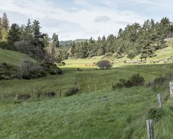 Another landscape. To Aumont-Aubrac. Via Podiensis. France. Another landscape. To Aumont-Aubrac. Via Podiensis. France.