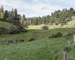 Another landscape. Another landscape.