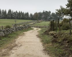 Walking. Walking. To Nasbinals. Via Podiensis. France.