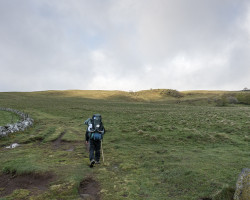 Aubrac. To Saint-Côme-d’Olt. France.