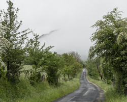Fog. To Espeyrac. France.