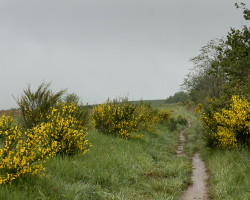 No light either today. No light either today.