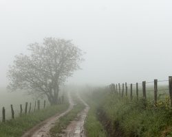 Mist. To Decazeville. France. Mist. To Decazeville. France.