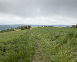 On the ridge. On the ridge.