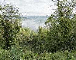 Linhac in the mist. To Figeac. France.