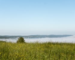 The fog, like every morning. To Cajarc. France. The fog, like every morning. To Cajarc. France.