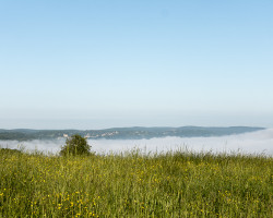 The fog, like every morning. The fog, like every morning.