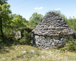An old warehouse. An old warehouse.