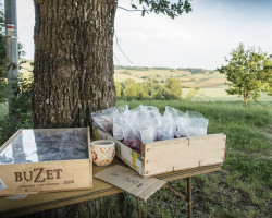 For € 1 you can buy strawberries along the way. For € 1 you can buy strawberries along the way.