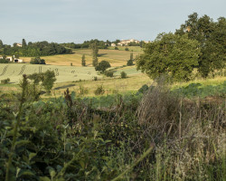 Around Flamarens. Around Flamarens.