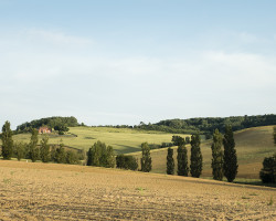 Around Flamarens. Around Flamarens.