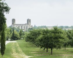 La Romieu. To Condom. Via Podiensis. France. La Romieu. To Condom. Via Podiensis. France.