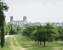 La Romieu. La Romieu.