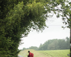 Doubting pilgrim. Doubting pilgrim.