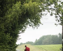 Doubting pilgrim. o Navarrenx. Via Podiensis. France. Doubting pilgrim. To Navarrenx. Via Podiensis. France.