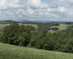 New views. New views.