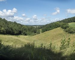 The sun is back. To Huart-Mixe. Via Podiensis. France. The sun is back. To Huart-Mixe. Via Podiensis. France.