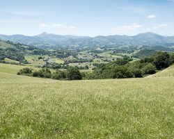 Pays Basque. To Saint-Pée-sur-Nivelle. France. Pays Basque. To Saint-Pée-sur-Nivelle. France.